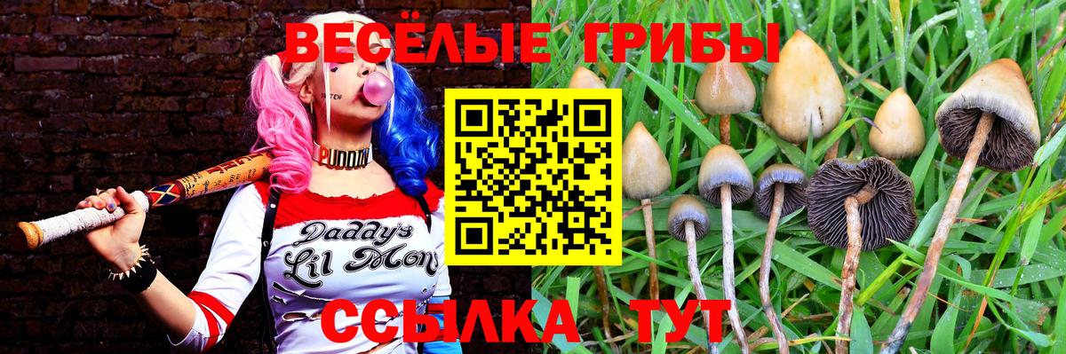 Псилоцибиновые грибы Magic Shrooms Оренбург