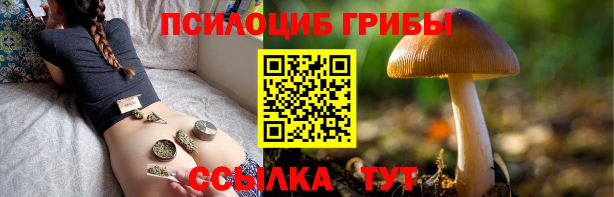 Псилоцибиновые грибы Psilocybine cubensis  Вход с VPN  Оренбург  Галлюциногенные грибы мухоморы 